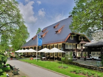 Parkhotel Adler image